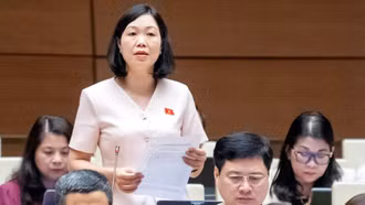 Đại biểu Nguyễn Thị Lan Anh tham gia thảo luận về dự thảo Luật Hóa chất (sửa đổi)