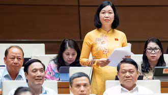 Đại biểu Nguyễn Thị Lan Anh tham gia ý kiến về việc sửa đổi, bổ sung một số điều của Hiến pháp năm 2013