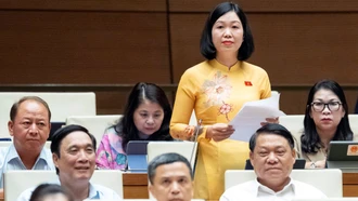Đại biểu Nguyễn Thị Lan Anh tham gia ý kiến về việc sửa đổi, bổ sung một số điều của Hiến pháp năm 2013
