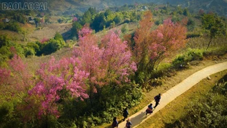 10 tỉnh thành đón lượng khách lớn nhất kỳ nghỉ tết Dương lịch 2026