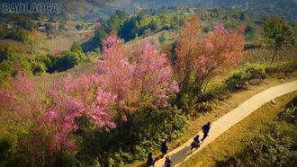 10 tỉnh thành đón lượng khách lớn nhất kỳ nghỉ tết Dương lịch 2026