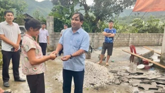 Dông lốc làm tốc mái nhà và đổ cây xanh