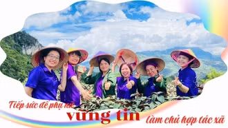 Tiếp sức để phụ nữ vững tin làm chủ hợp tác xã