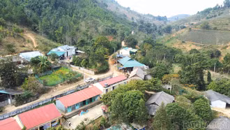 Suối Xuân bừng sáng xuân này