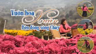 Vườn hoa xuân bên dòng sông Chảy