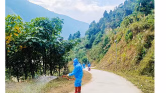 Xã Nậm Xé (Văn Bàn) cơ bản khống chế bệnh lở mồm long móng trên đàn gia súc