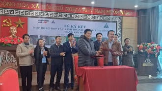 Hội thảo chia sẻ cơ hội phát triển ngành hàng măng huyện Văn Bàn