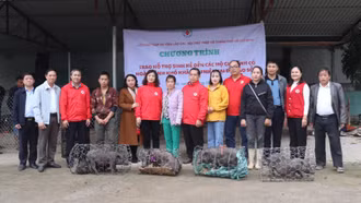 Hội Chữ thập đỏ Thành phố Hồ Chí Minh trao hỗ trợ sinh kế cho người dân Bát Xát