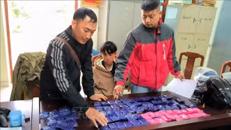 Triệt phá hai vụ án, thu giữ 18.000 viên ma túy và 300 gram thuốc phiện
