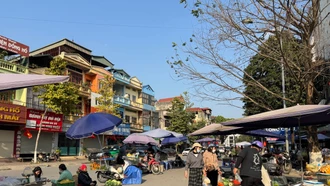 Chợ dân sinh hoạt động từ mùng 2 Tết