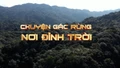 Chuyện gác rừng nơi đình trời