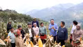 Ngô xuân được mùa trên đất dốc Trạm Tấu