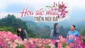 Hoa sắc màu trên núi đá