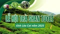 INFOGRAPHIC: LỄ HỘI TRÀ SHAN TUYẾT TỈNH LÀO CAI NĂM 2025
