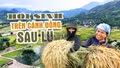 Hồi sinh trên cánh đồng sau lũ