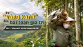 Bài 1: “Vàng xanh” phủ kín những triền đồi