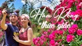 Hàm Rồng “thức giấc”