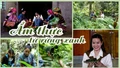 Ẩm thực từ rừng xanh