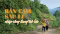 Bản Cam sau lũ - nhịp sống đang trở lại