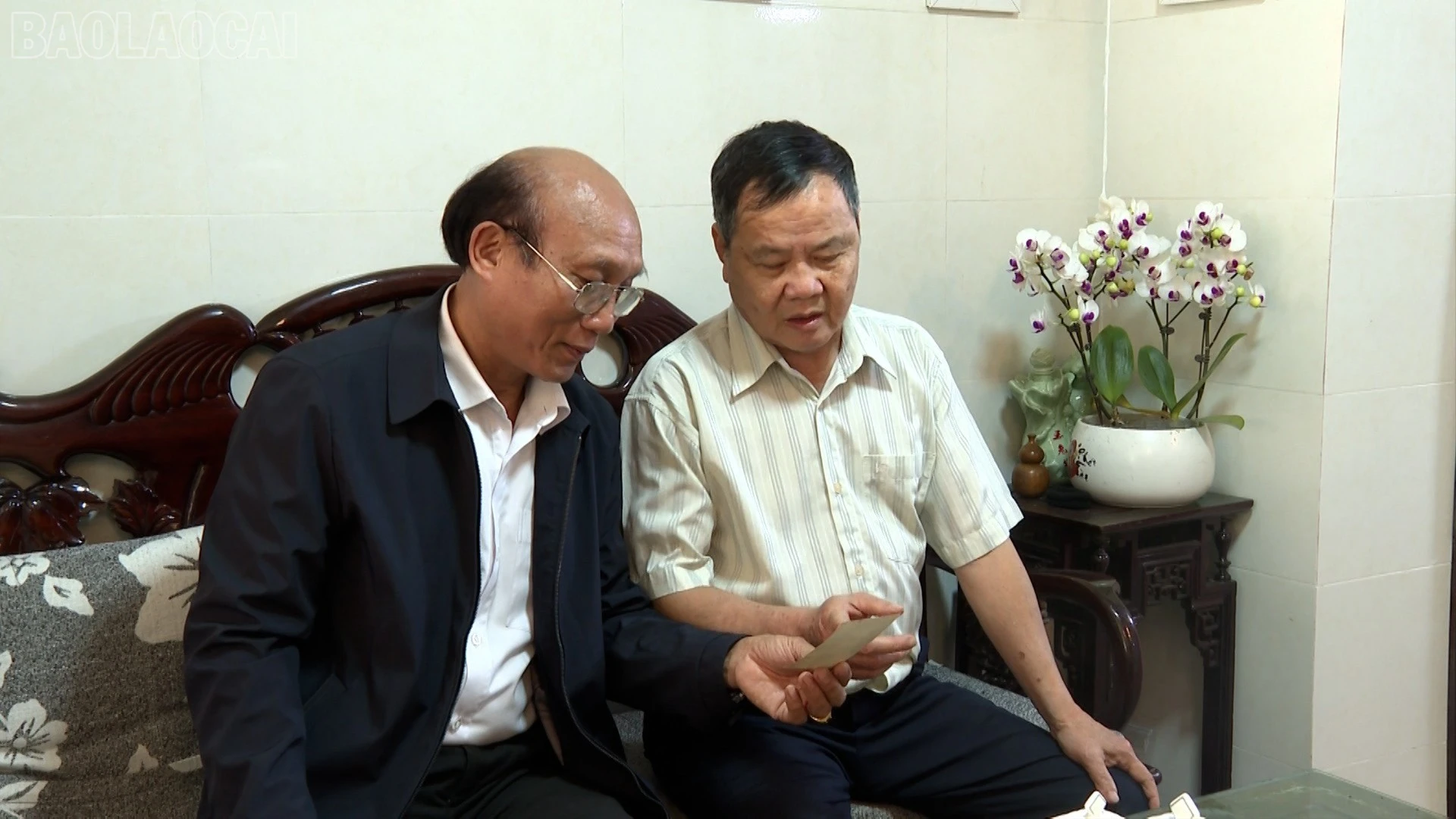 baolaocai-tl_anh-4-578.jpg