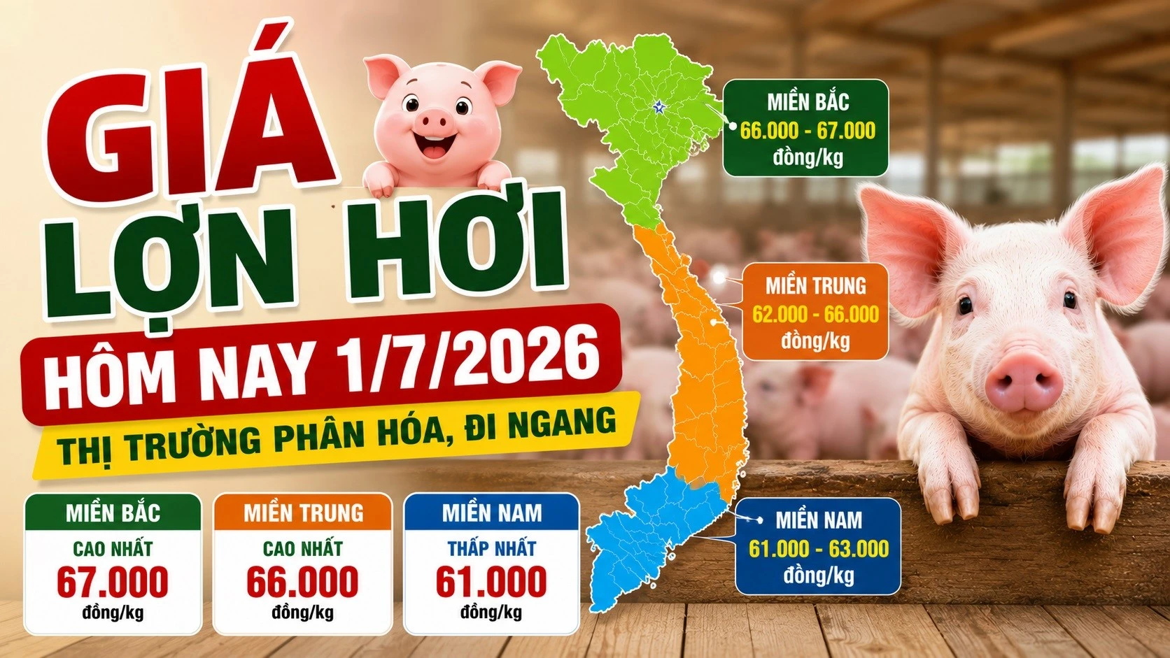 gia-heo-hoi-hom-nay-1-7-2026.jpg
