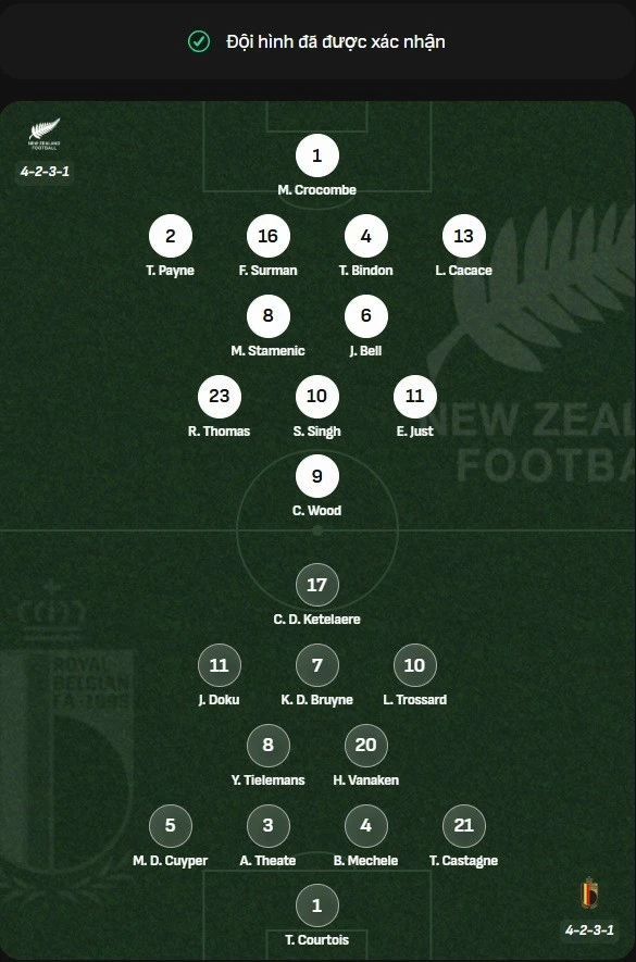 new-zealand-vs-bi-doi-hinh-chinh-thuc.jpg