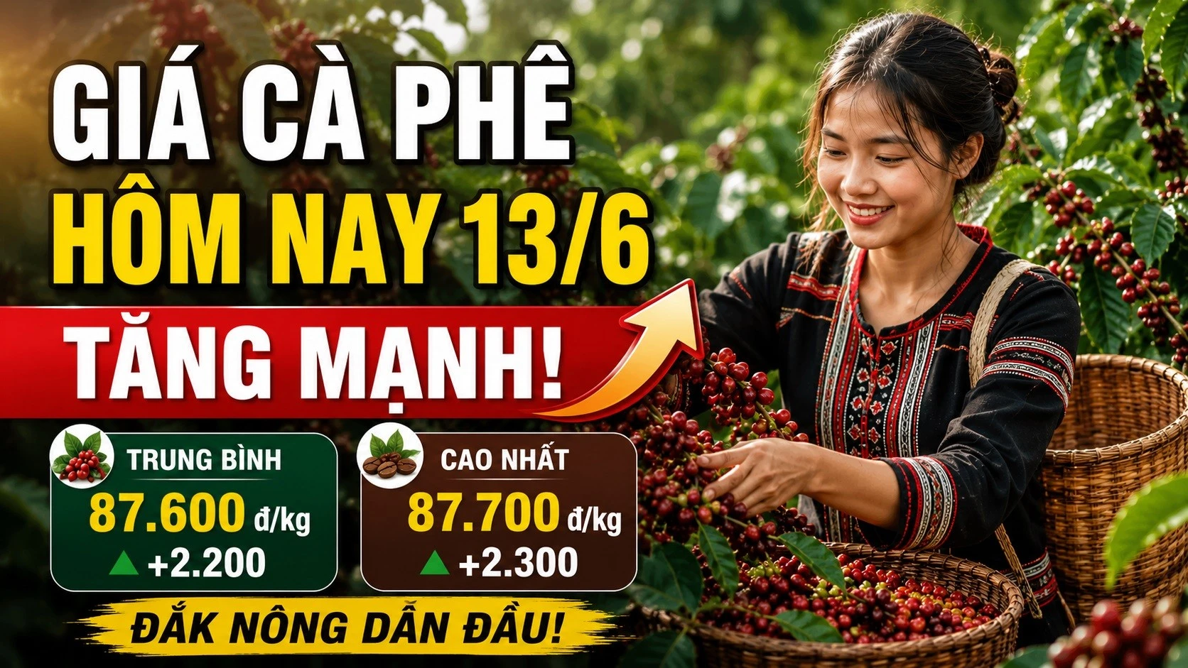 gia-ca-phe-hom-nay-13-6-2026-6130.jpg