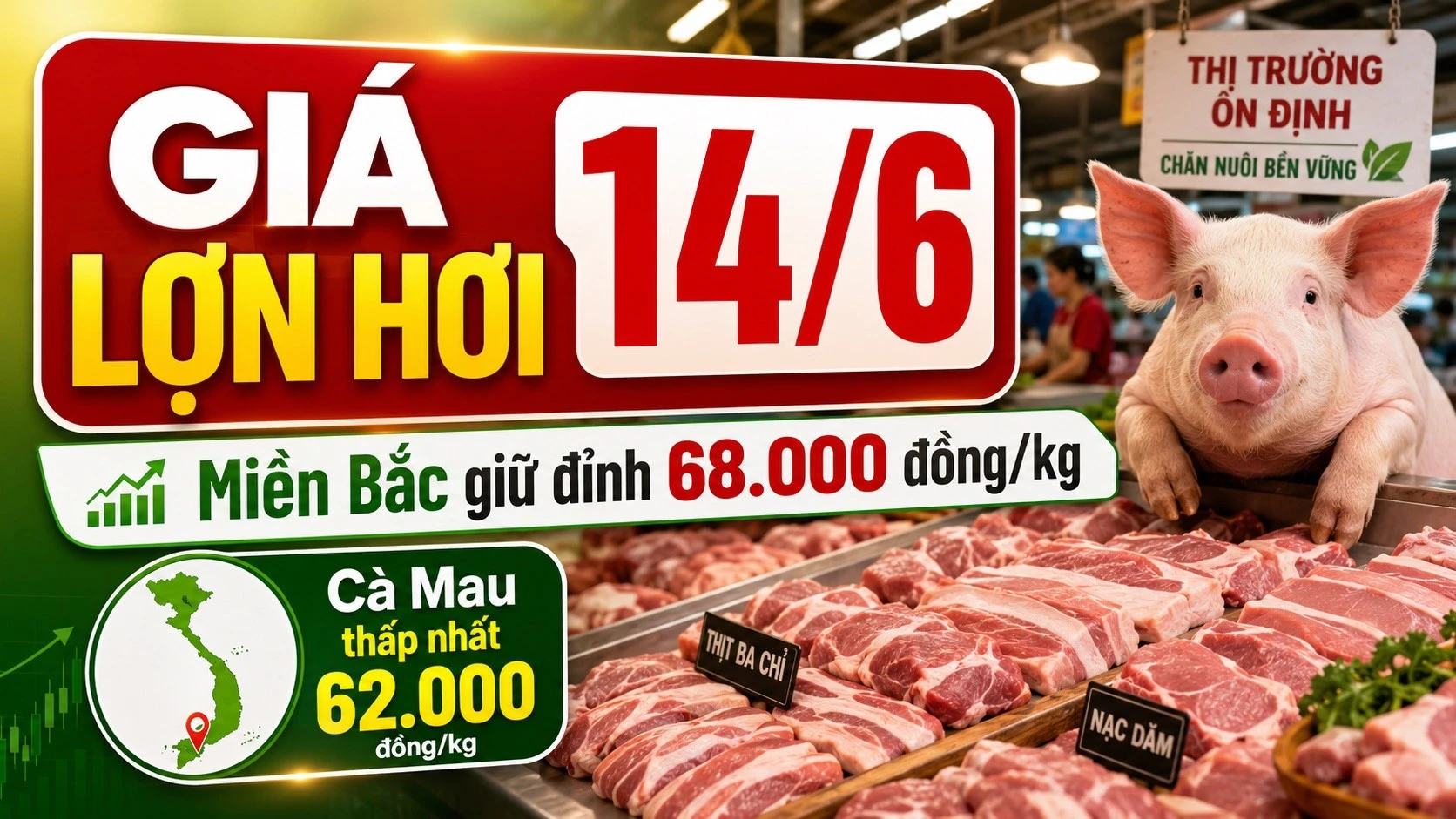 gia-heo-hoi-hom-nay-14-6-2026.jpg