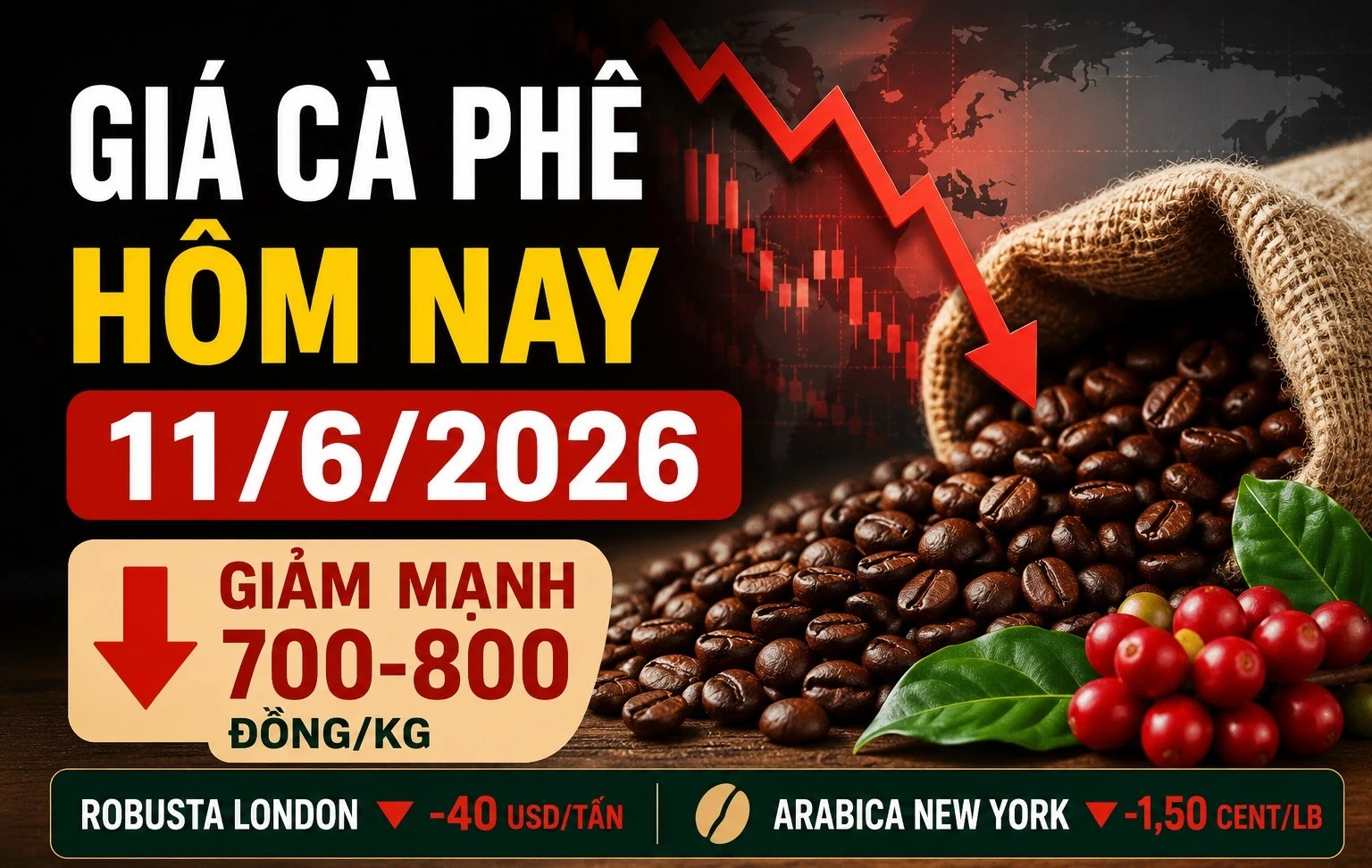 gia-ca-phe-hom-nay-11-6-2026-1542.jpg