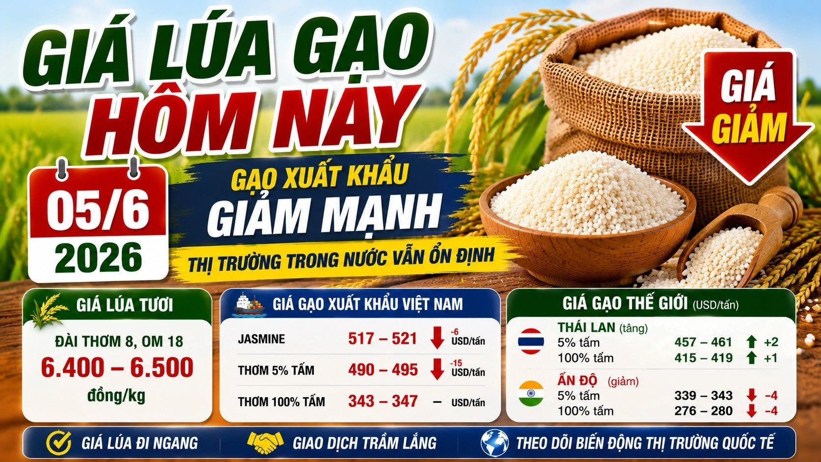 gia-lua-gao-hom-nay-5-6-2026-2589.jpg