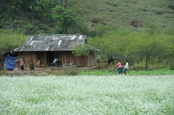 mai-chau-6121.jpg