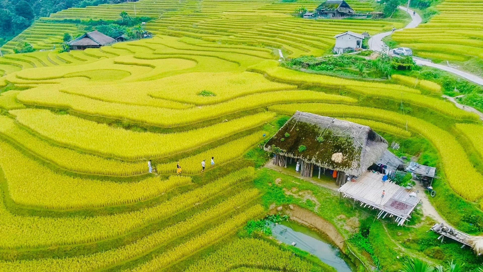 dac-sac-tuan-van-hoa-du-lich-qua-nhung-mien-di-san-ruong-bac-thang-hoang-su-phi-6725.jpg