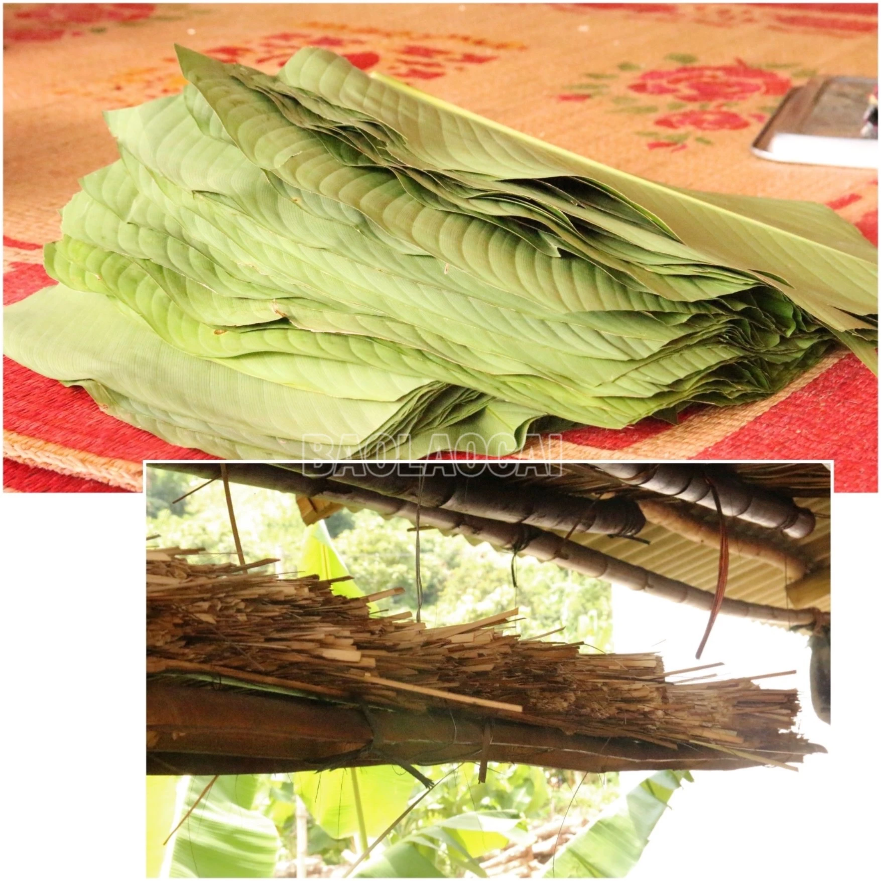 Thiết kế chưa có tên.zip - 8.jpeg