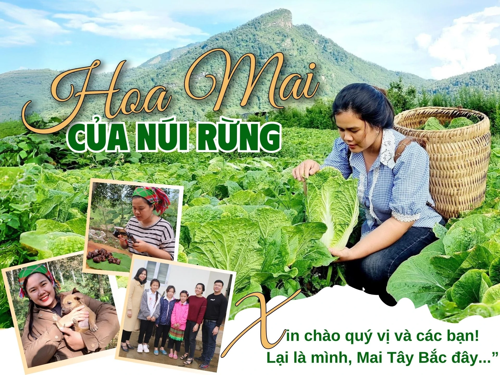 hoa-mai-3067.jpg