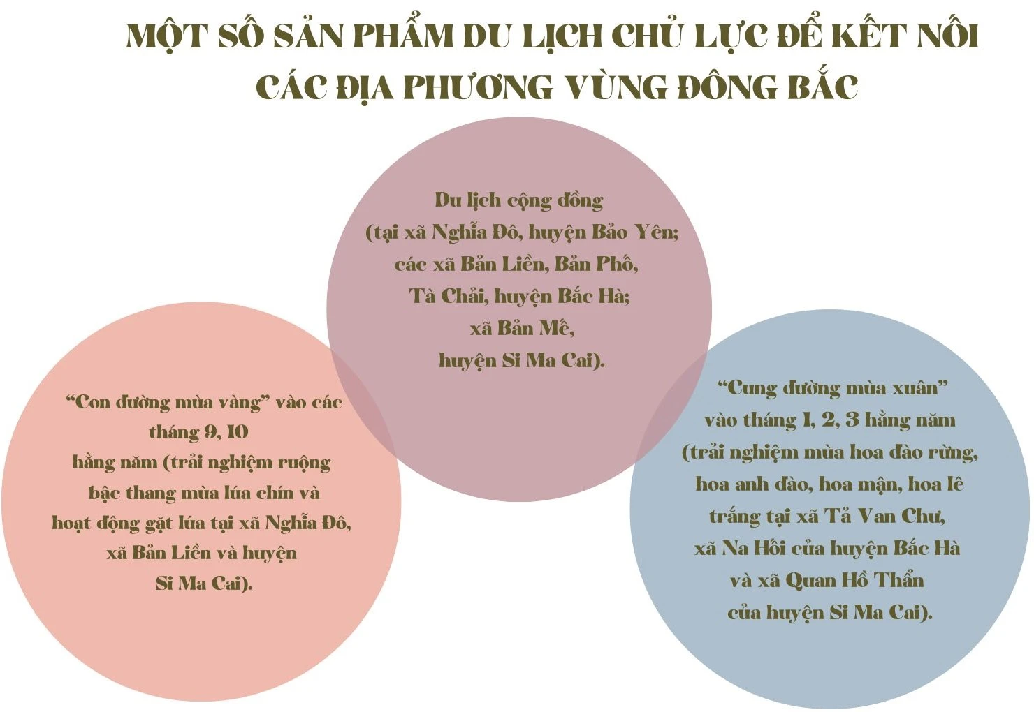 biểu đồ.jpg