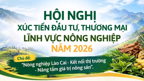 Hội nghị xúc tiến đầu tư, thương mại lĩnh vực nông nghiệp năm 2026