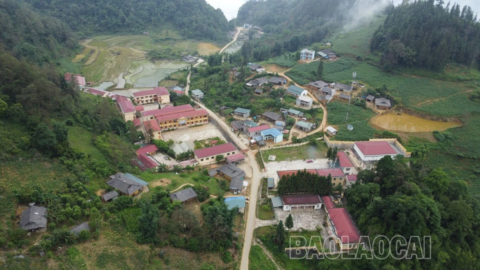 n3.jpg