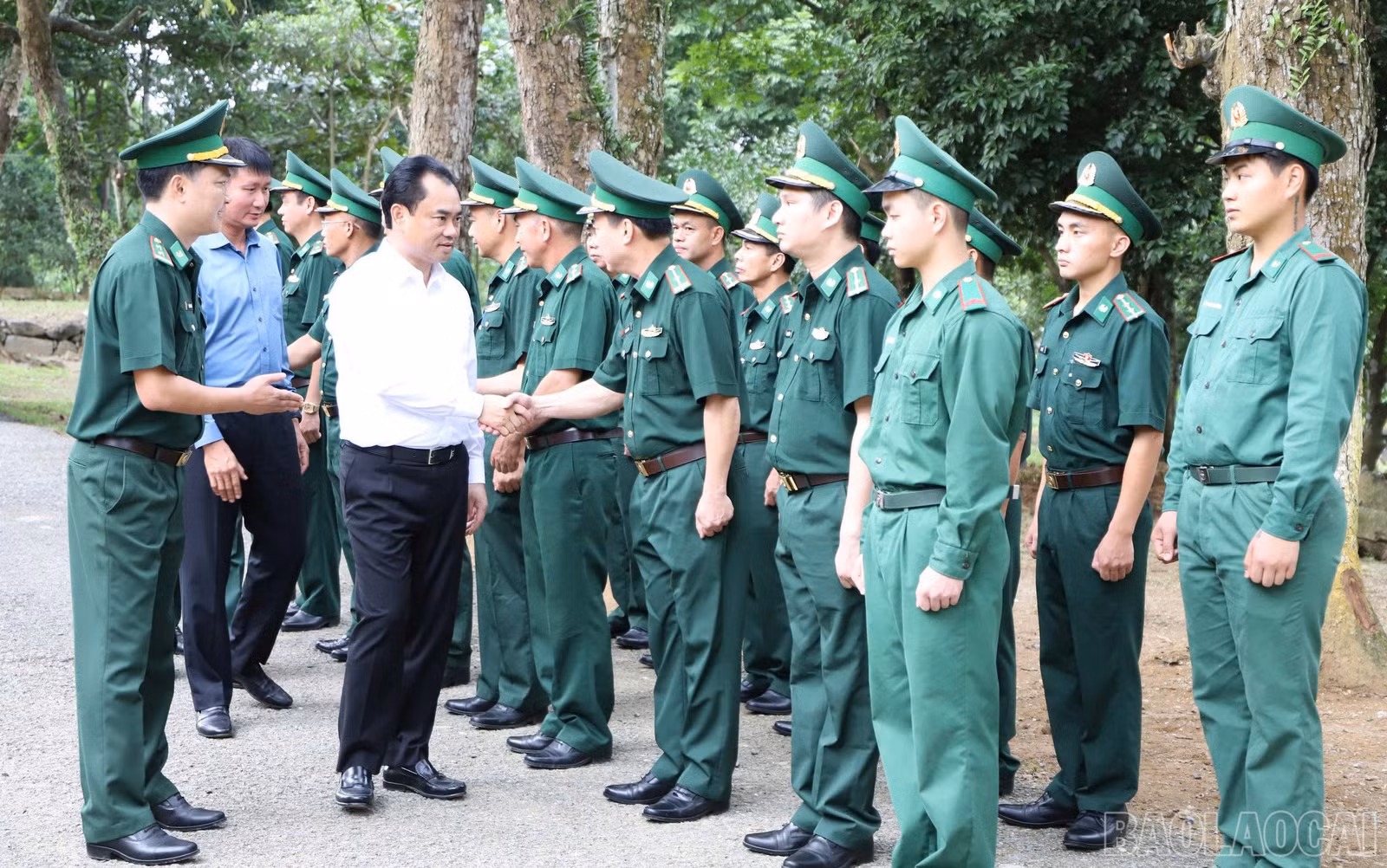 baolaocai-br_123.jpg