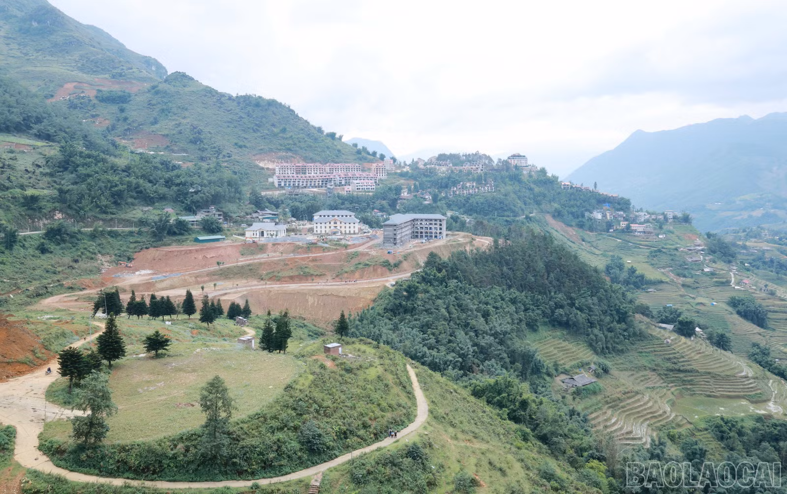baolaocai-br_713.jpg