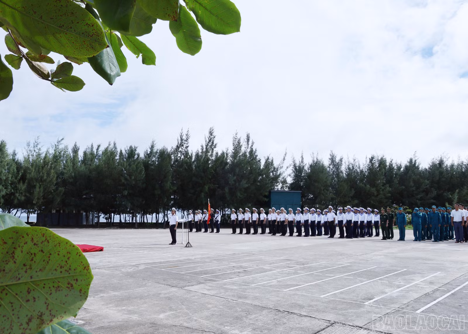 baolaocai-br_8067.jpg