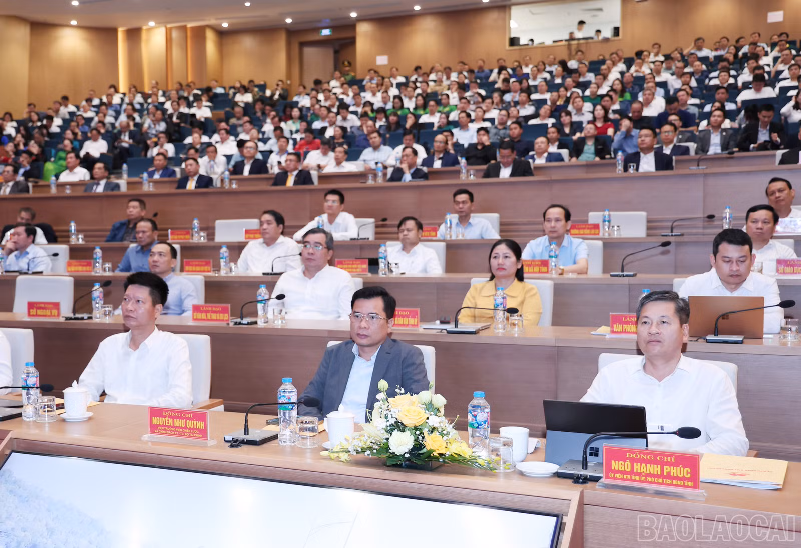 baolaocai-br_img-0017.jpg