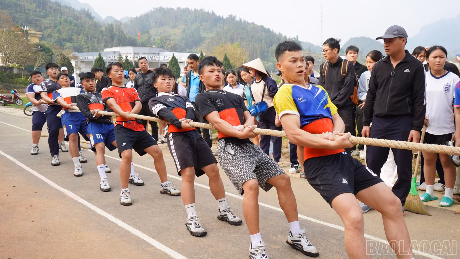 baolaocai-br_mk1-5.jpg