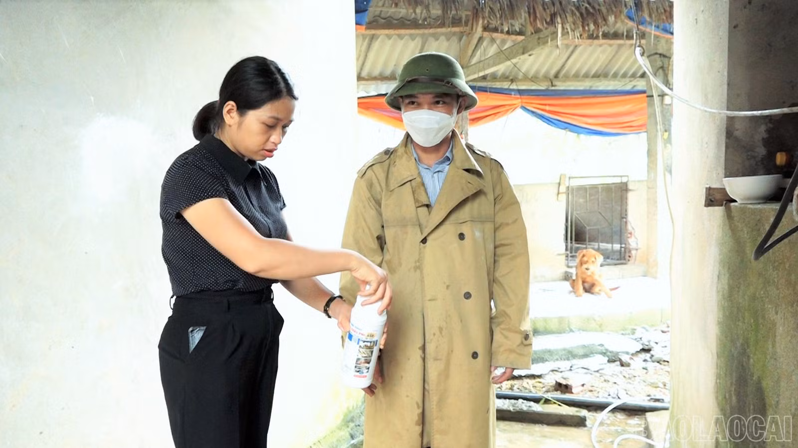 Cán bộ Trung tâm Dịch vụ tổng hợp xã Lục Yên hướng dẫn người dân cách phun khử trùng phòng chống dịch tả lợn châu Phi.