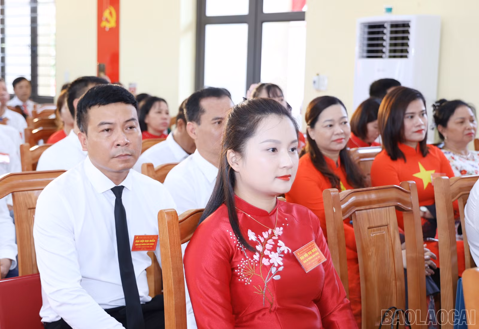 baolaocai-br_img-9023.jpg