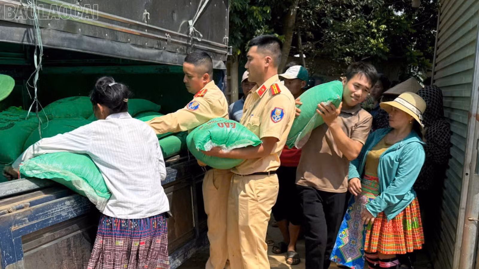 baolaocai-tl_anh-2.jpg