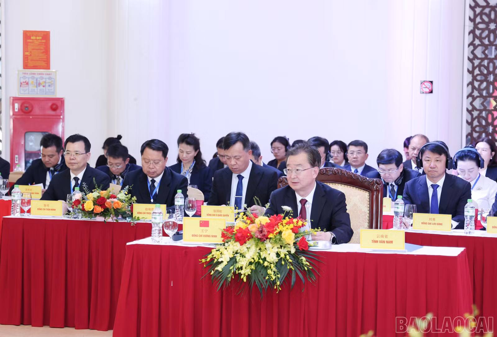 baolaocai-br_img-8892.jpg