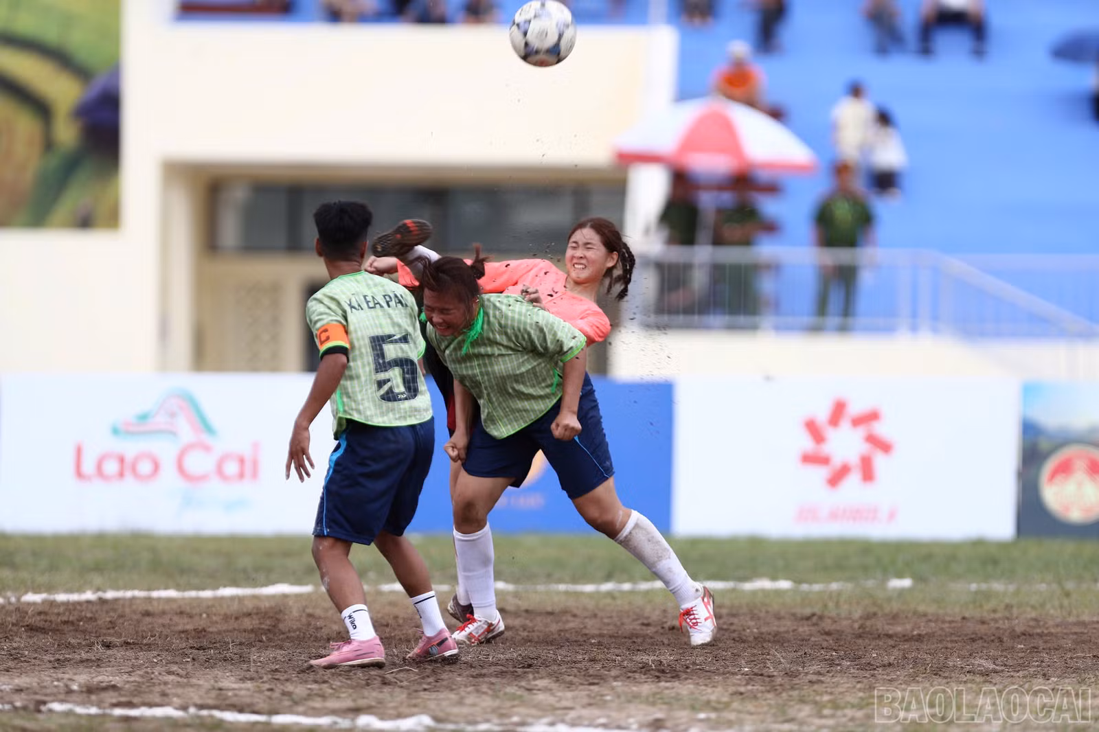 baolaocai-br_3-749.jpg