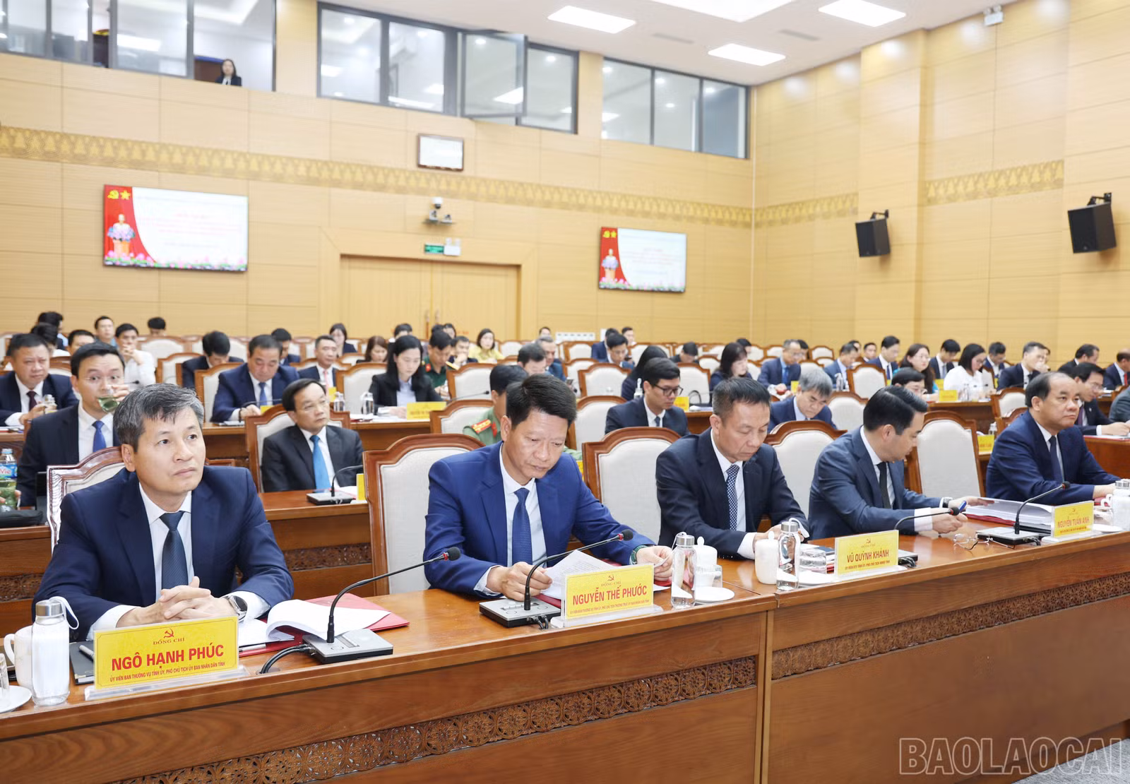 baolaocai-br_3332.jpg