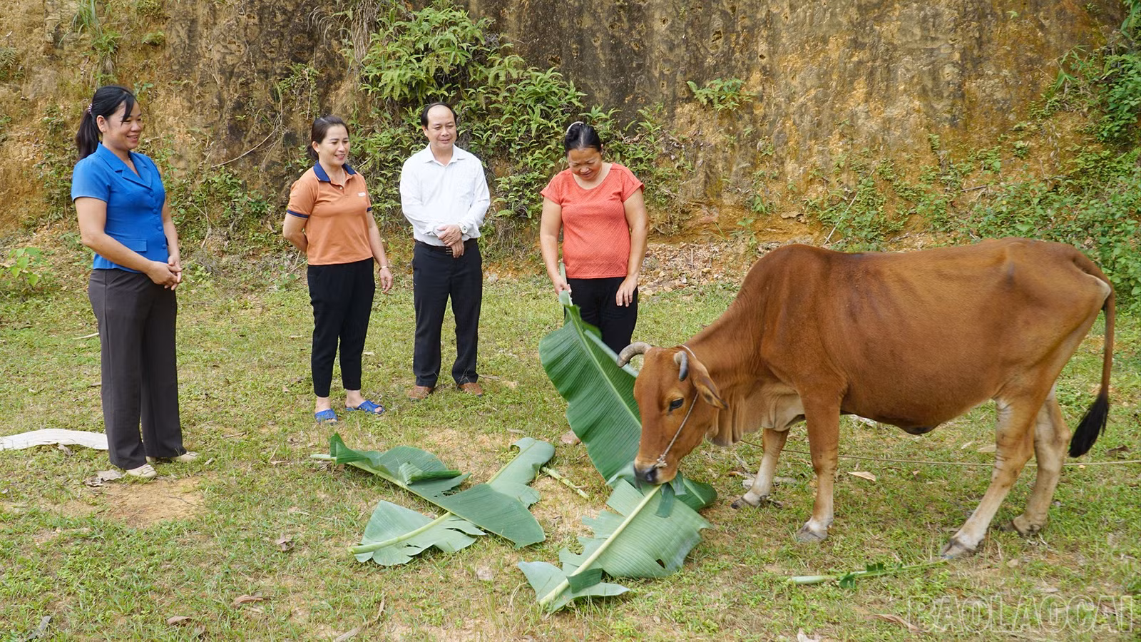 baolaocai-br_9-12-ba-huong.jpg