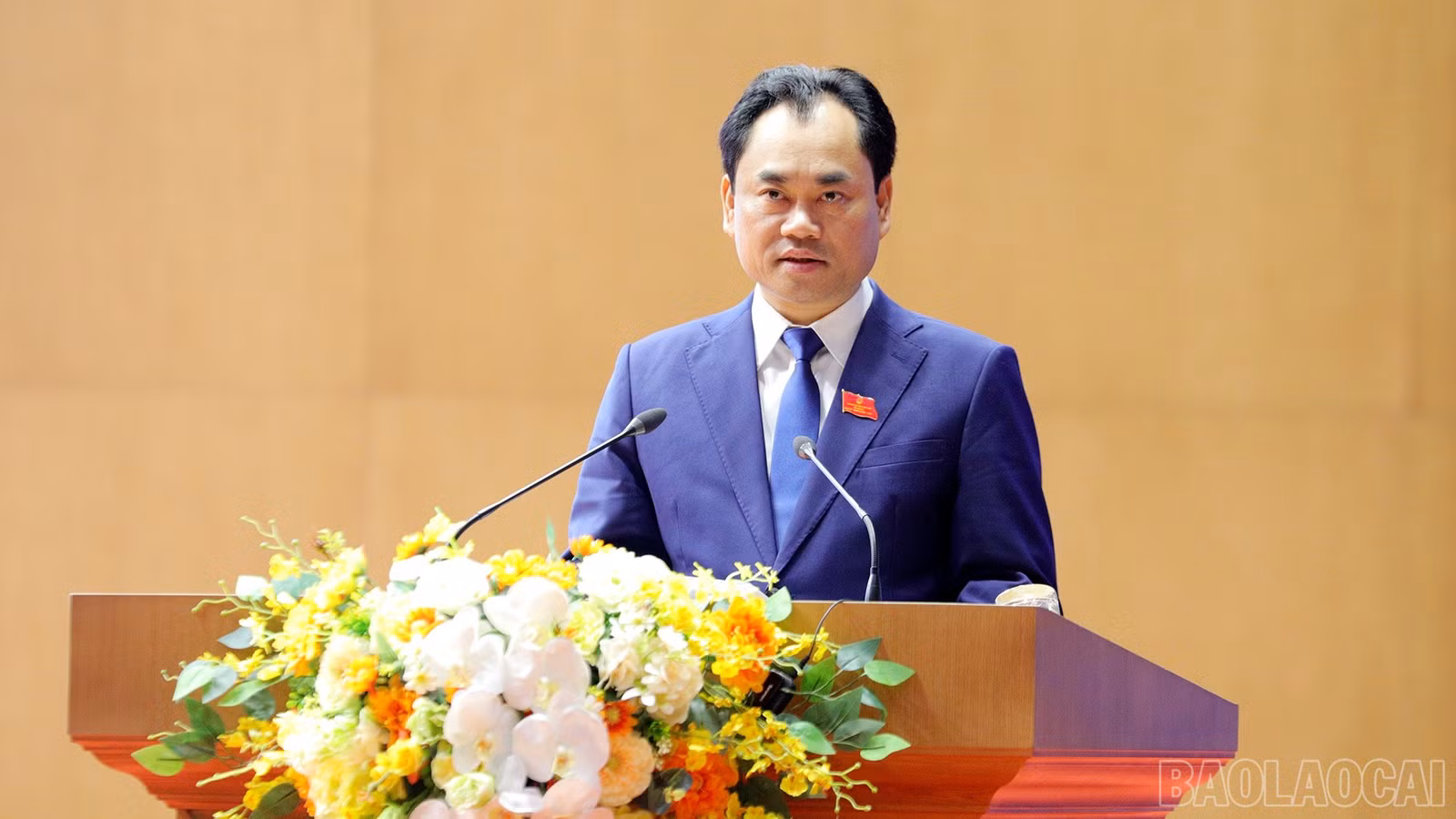 baolaocai-br_9-12-bithu.jpg